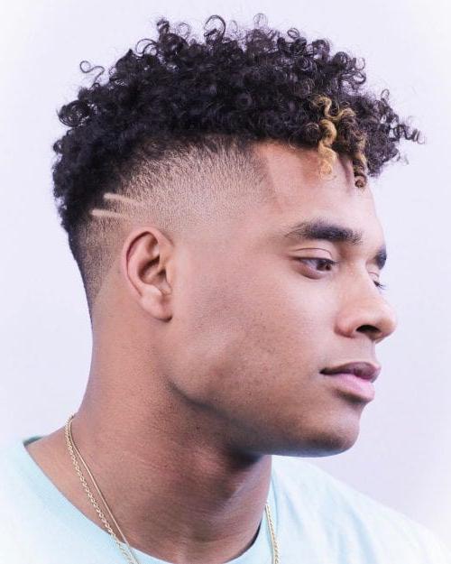 40+ Best Curly Hairstyles For Men Stylish Men's Curly Haircuts Highlighted Curl With High Fade