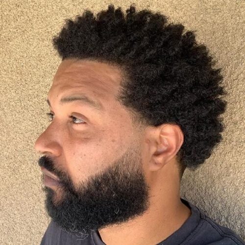 Afro Haistyle With No Fade Top 30 Best African American Men's Hairstyles 2020 Cool Haircuts For Black Men