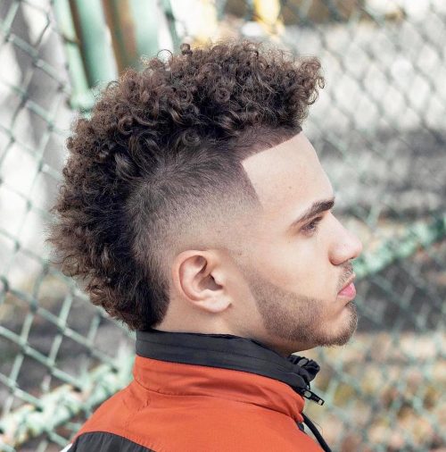 Curly Mohawk Fade Haircut 40+ Best Curly Hairstyles For Men Stylish Men's Curly Haircuts