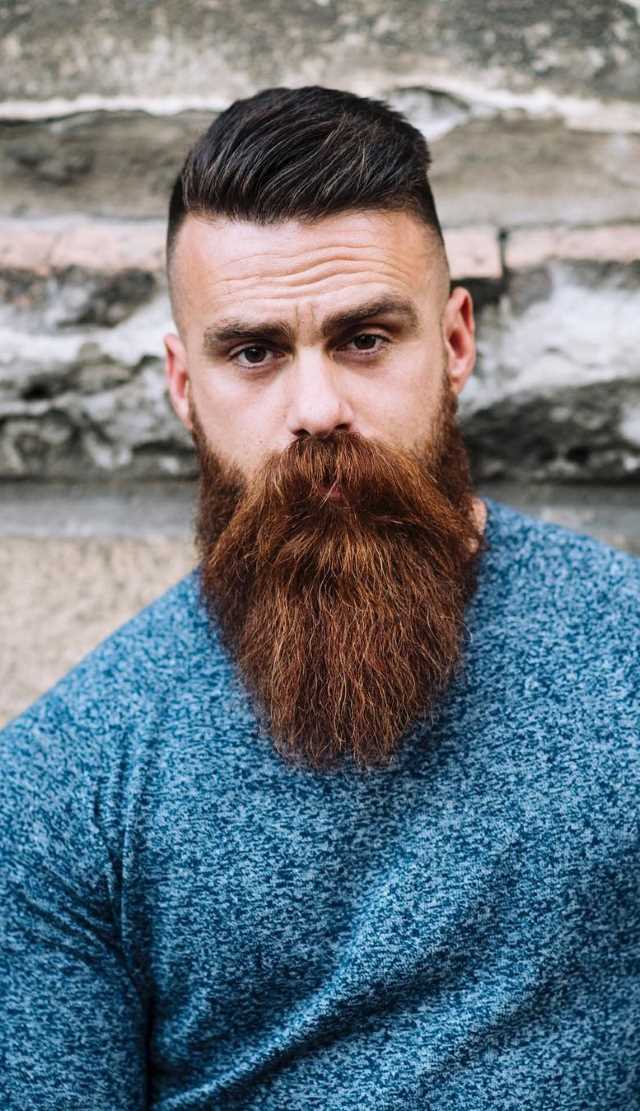 Top 35 Best Long Beard Styles for Men | Men's Long Beard Styles | Men's ...
