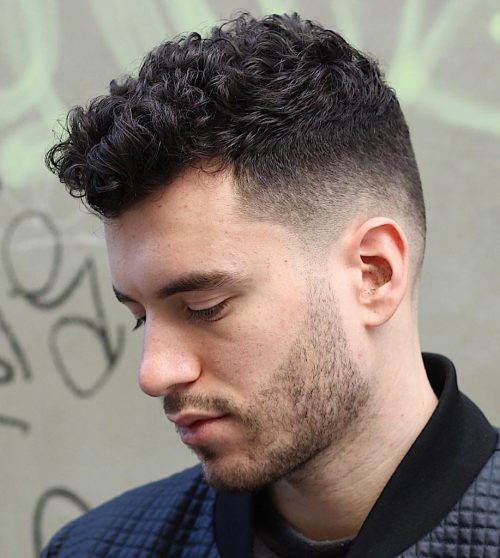 Low Fade Curly Top 40+ Best Curly Hairstyles For Men Stylish Men's Curly Haircuts