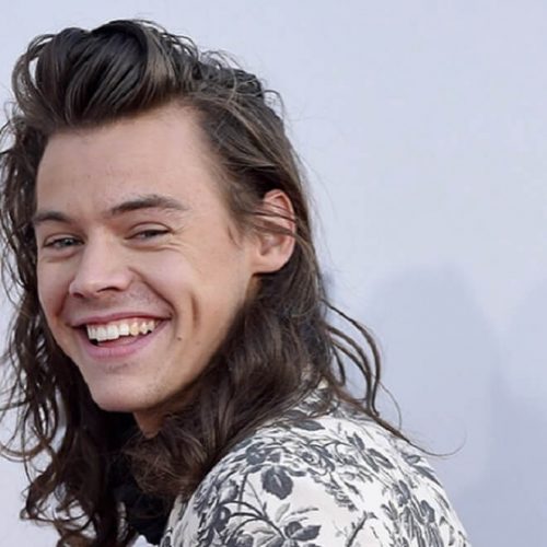 Harry Styles Shoulder Length Hairstyle