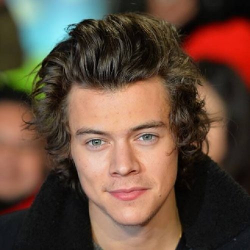 Men's Classy Hairstyle 30 Best Harry Styles Haircuts & Hairstyles 2020