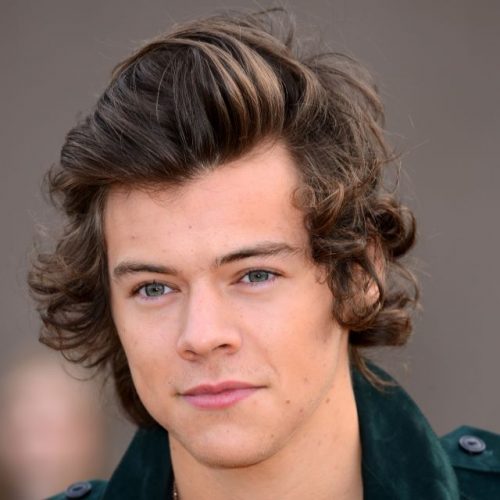 Skater Harry Styles Haircut 30 Best Harry Styles Haircuts & Hairstyles 2020