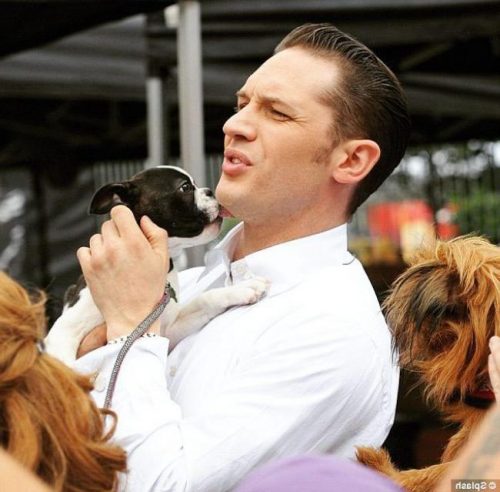 Top 30 Best Tom Hardy Hairtyles & Haircuts 2020 Tom Hardy Dapper Hairstyle