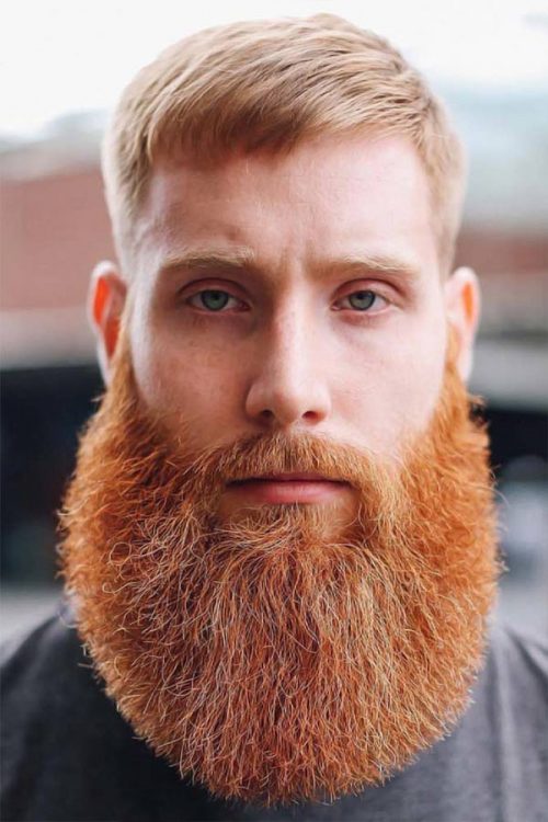 30 Men's Red Color Hairstyles Red Full Beard Style
