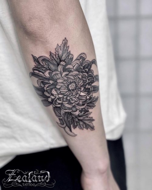 150+ Chrysanthemum Tattoos, Meanings and Designs